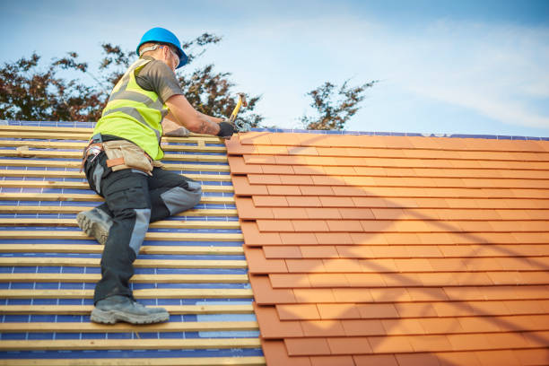 Best Roof Moss and Algae Removal  in Carthage, IL