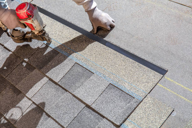 Best Roof Coating and Sealing  in Carthage, IL